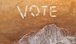 I Surf I Vote IG